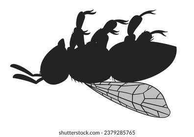 Honey bee lying upside down. Cartoon bee silhouette, winged honey bee insect, lying bumblebee flat vector illustration. Honey bee silhouette