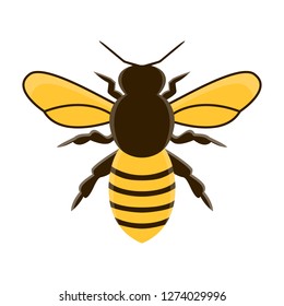 honey bee modern flat vector. isolated illustration