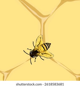 honey bee and honey in the nest