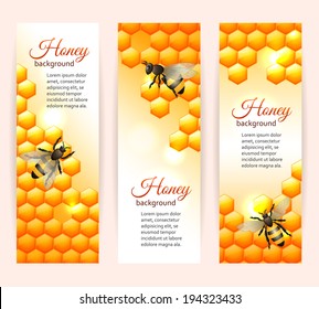 Honey bee on comb background vertical banners set isolated vector illustration