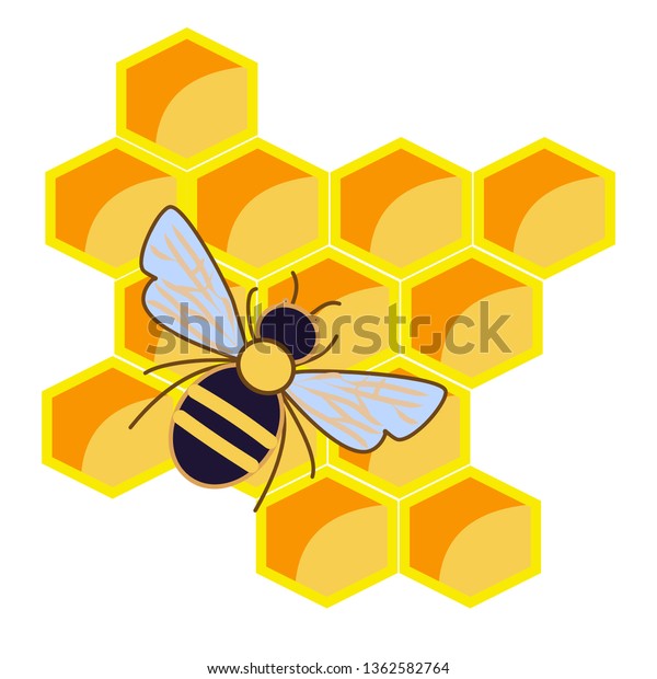 Honey Bee On Honey Comb Vector Stock Vector (Royalty Free) 1362582764