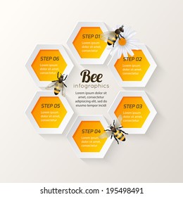 Honey bee on daisy and comb background hexagon steps infographic vector illustration