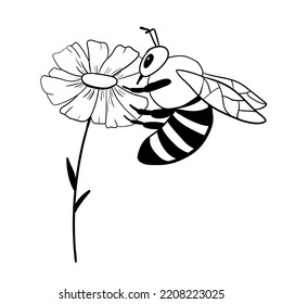 Honey bee on flower isolated on white. Insect in hand drawn style. Vector monochrome doodle illustration.