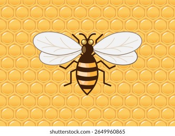 A honey bee on a honeycomb background. Honeycomb is a structure of hexagonal wax cells built by honey bees to store honey and pollen, and to raise their young bees. 