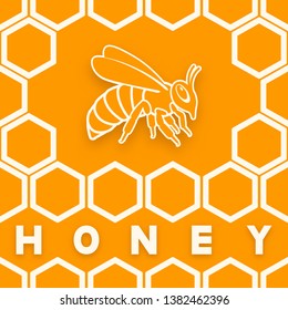 Honey bee on honeycomb orange background