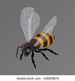 Honey bee on transparent background. Flat 3d isometric illustration. For infographics and design 