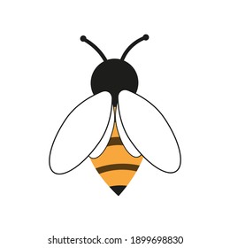Honey bee on a white background. An insect with a sting. Isolated element for decorative design of a postcard, poster, web page or print. Flat style vector illustration.