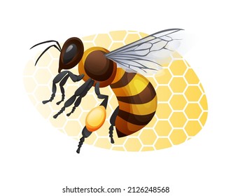 Honey bee on a yellow background. Striped insect illustration isolated on white background. Sticker, print, logo
