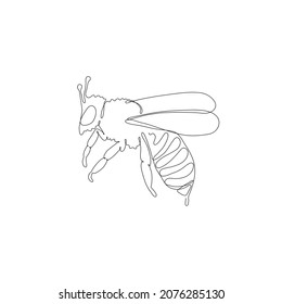 Honey bee. One single line drawing isolated on white background. Beautiful hand-drawn design vector illustration for posters, wall art, tote bag, mobile case, t-shirt print. Icon. Logo. Insect, beetle