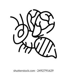 Honey Bee Outline Icon, Vector illustration