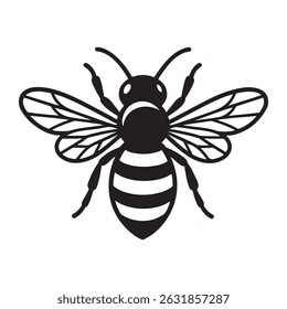 Honey Bee Outline Vector Art 