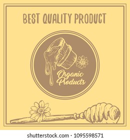 Honey Bee Poster Design with Sketch Circle Logo and Honeycomb Elements. Yellow Vintage Hand Drawn Illustration. Handcrafted Lettering.