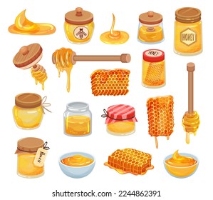 Honey and bee products set. Glass jars of honey, honeycomb, wooden dipper cartoon vector