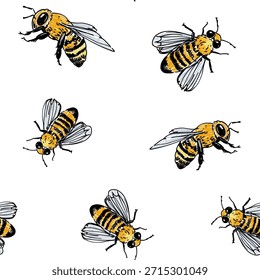 Modelo inconsútil de la abeja de la miel, Ilustración vectorial dibujada a mano, fondo transparente