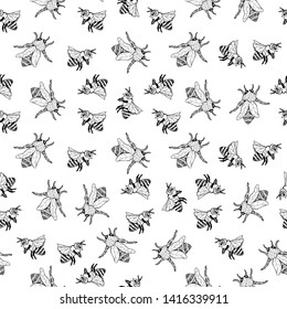 Honey Bee Seamless Pattern, Sketch Vector Illustration With Bumble Bee Hives In Vintage Style, Yellow Hand Drawn Honeycomb On White Background