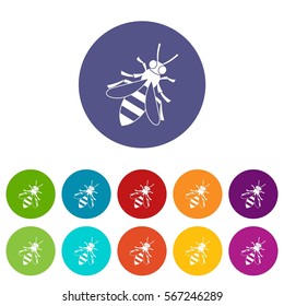 Honey bee set icons in different colors isolated on white background