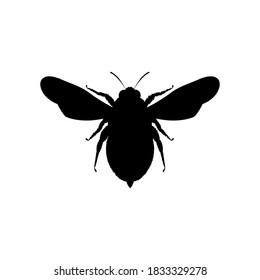 Honey bee silhouette icon. Black bee outline. Vector animal symbol. Isolated on white.