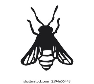 Honey bee silhouette isolated on white background. Hand-drawn black outline illustration