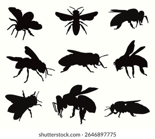 Honey bee silhouette set collection. Bumblebee insects. Wood and garden cute insects, fly, ant, caterpillar, housefly, ladybug and wasp. Bugs insects mascots, winged honey bee flat vector illustration
