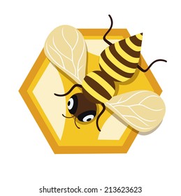 honey bee and single honey comb unit flat design 