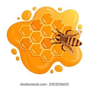 Honey bee sitting on honeycomb. Cartoon honey comb with sweet melting honey, honeycraft and beekeeping flat vector illustration