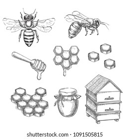 Honey and bee sketch vector illustration. Honeycombs, pot and hive hand drawn isolated design elements.