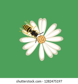 honey bee standing on flower