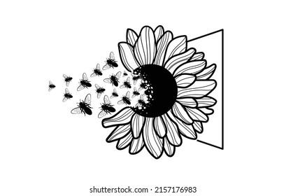 Honey bee and sunflower hand drawn vector illustration.