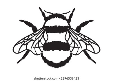 Honey Bee Svg, Bee SVG, Honeybee Svg, Handwritten Bee Svg svg