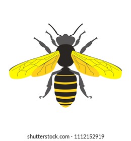 Honey bee symbol vector 
