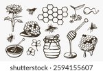 Honey and bee themed hand-drawn vector illustrations set. Collection of honeycomb, bees, flowers, honey jar, honey dipper, and dripping honey elements. Black and white sketch for design and print.