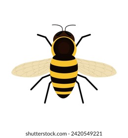 Ilustración del vector plano de la vista superior de la miel de abeja sobre fondo blanco