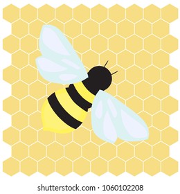 Honey bee. Vector