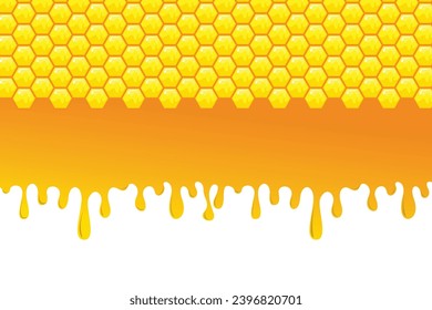 honey and bee vector background