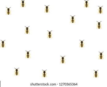 Honey bee vector for banner, presentation and wallpaper purposes on white background 189