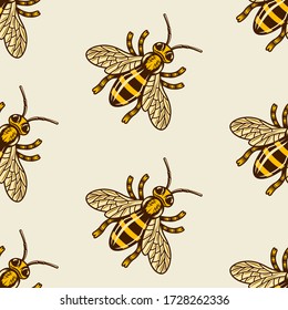 Honey bee vector colored seamless pattern on light background for decoration package and other things