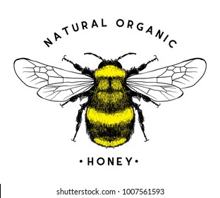 honey bee vector file