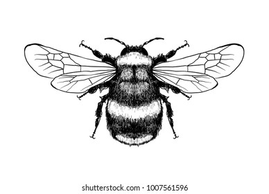 25,212 Bee outline Images, Stock Photos & Vectors | Shutterstock