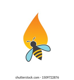 honey Bee vector icon 