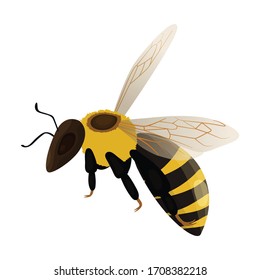 Icono vectorial de abejas. Icono vectorial de caricatura aislado en abeja de fondo blanco.