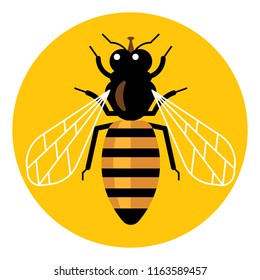 Honey Bee. Vector Illustration.