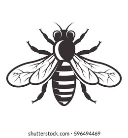 Honey bee vector illustration in monochrome style isolated on white background