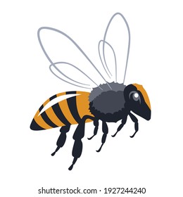 ilustración de vector de abeja miel sobre fondo blanco