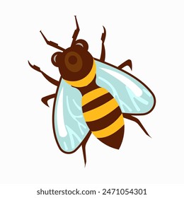 honey bee vector jam bottle icon honeycomb bear polar doodle cartoon character illustration design