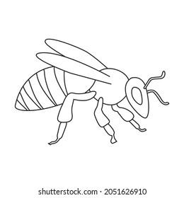 Icono de contorno vector de abeja de miel. Dibujo vectorial animal de abeja de miel sobre fondo blanco. Icono de ilustración de contorno aislado de abeja miel.