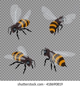 Honey bee vector set. Flat 3d vector isometric illustration. Natural healthy food production. Environmentally friendly product. 