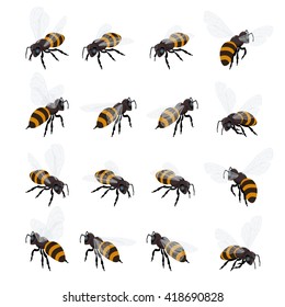 Honey bee vector set. Flat 3d vector isometric illustration. Honey natural healthy food production. Environmentally friendly product. 