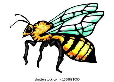 Honey bee vintage vector drawing. Hand drawn isolated insect sketch. Color illustrations. Great for logo, icon, label, packaging design.
