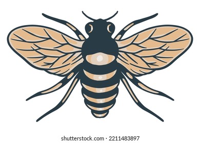 Honey bee vintage vector drawing