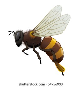 honey bee wasp. "Full compatible. Created with gradients. Named in layers"